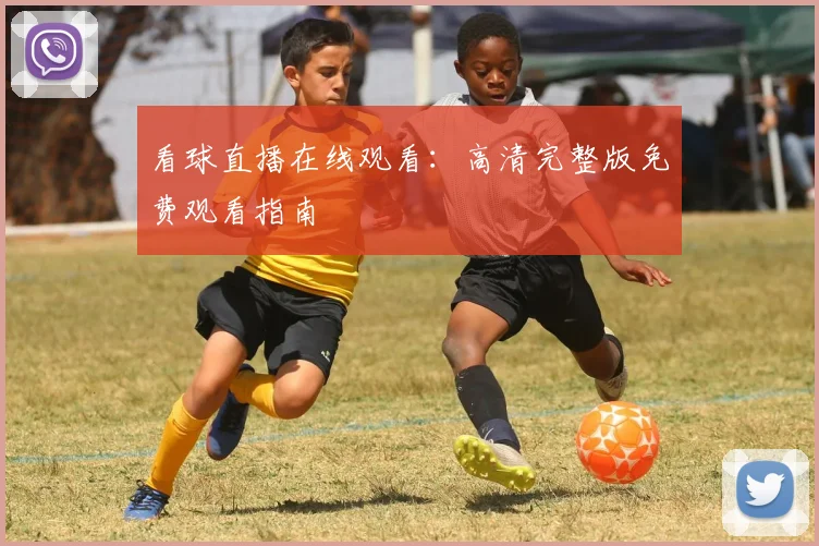 看球直播在线观看：高清完整版免费观看指南