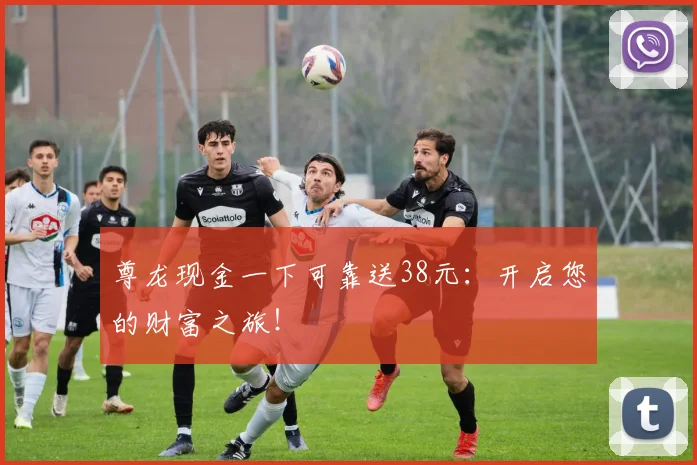 尊龙现金一下可靠送38元：开启您的财富之旅！