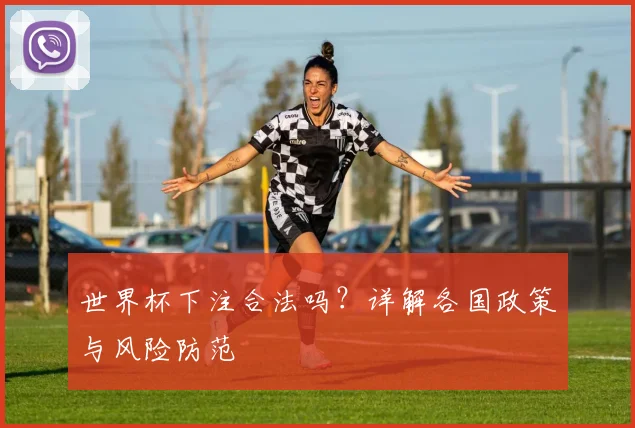 世界杯下注合法吗？详解各国政策与风险防范