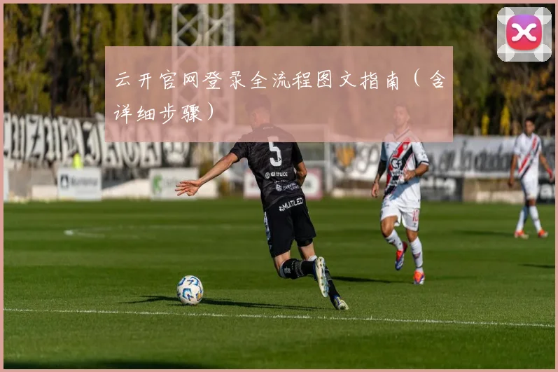 云开官网登录全流程图文指南（含详细步骤）