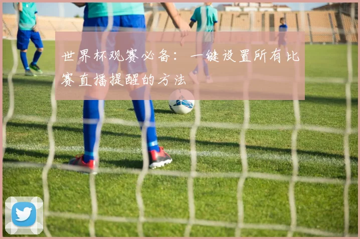 世界杯观赛必备：一键设置所有比赛直播提醒的方法
